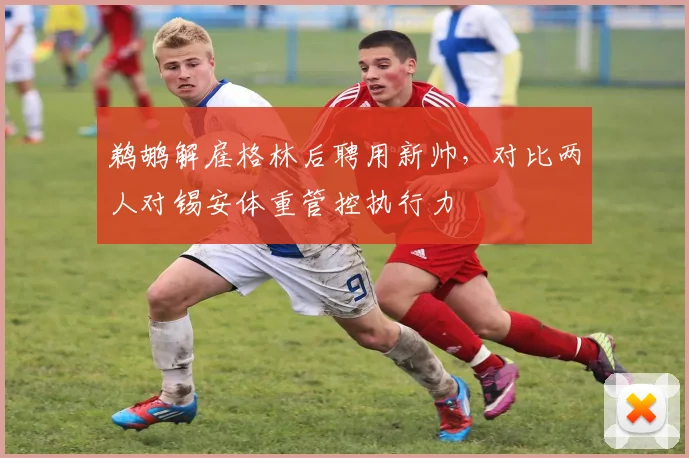 鹈鹕解雇格林后聘用新帅,对比两人对锡安体重管控执行力